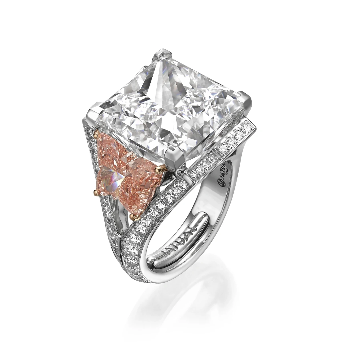 Grande Princesse aux Papillons Roses